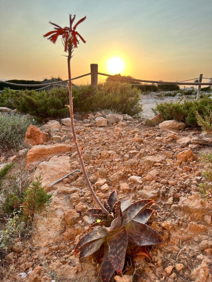 Arenas Del Mar Formentera Villa Es Arenals Екстериор снимка
